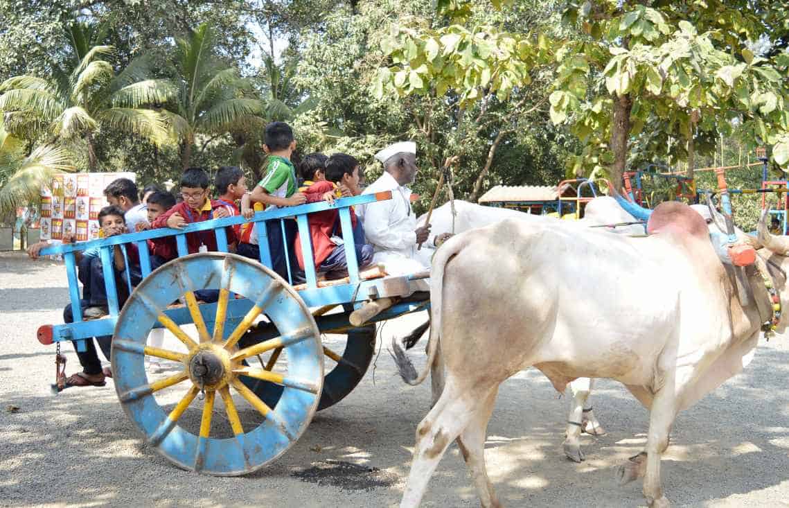 School-Picnic_10 (1)