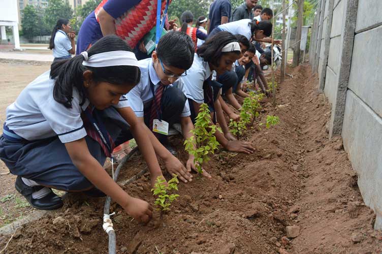 Tree-Plantation_1