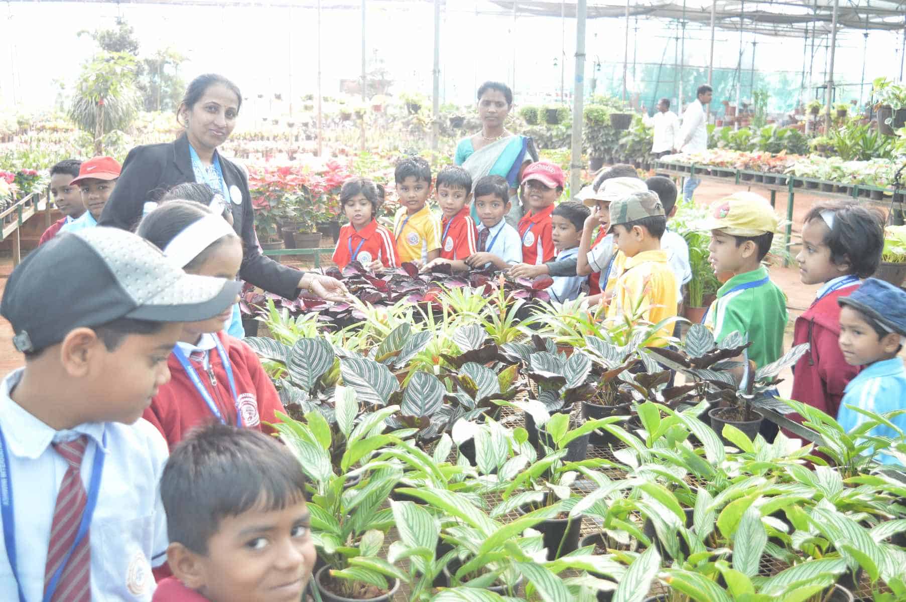 Visit-to-Nursery_2